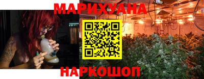 крисы Славянск-на-Кубани
